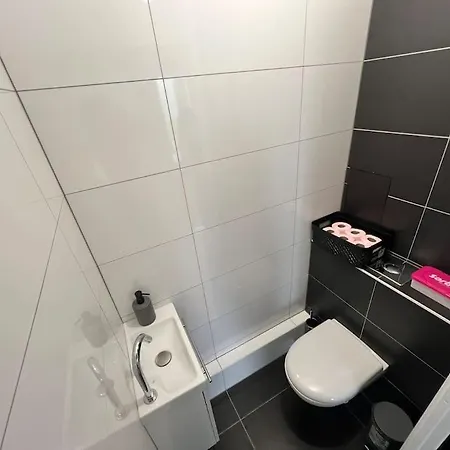 Cerf Berr Apartment Strasbourg